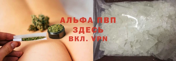 молекула духа Белоозёрский